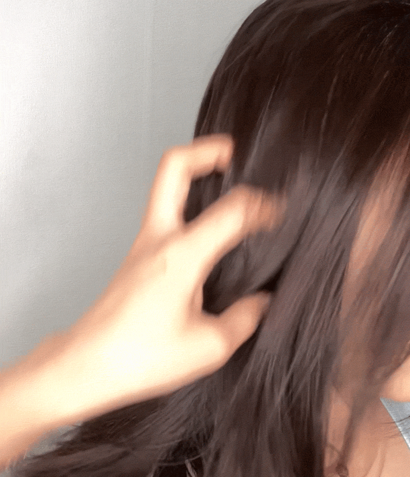 dhg-d8-11.gif