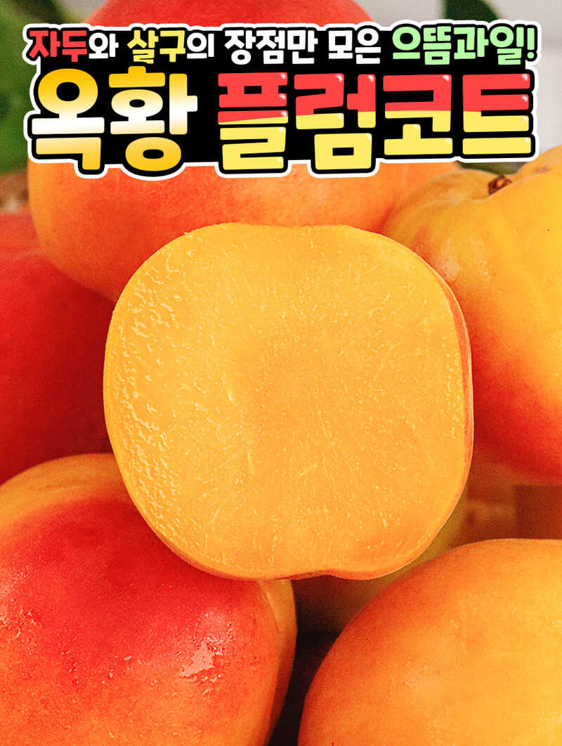 jo-pc-d5.jpg