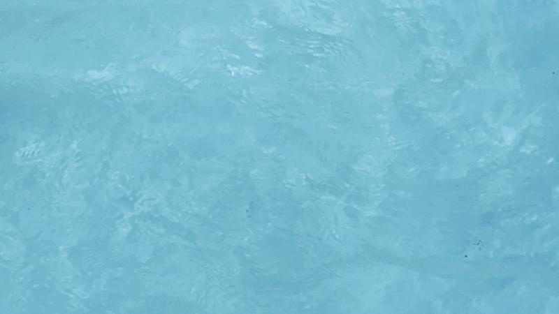 srk-d6-8.gif