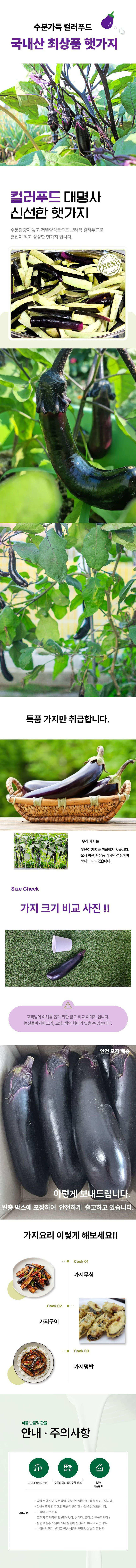 yps01-d.jpg