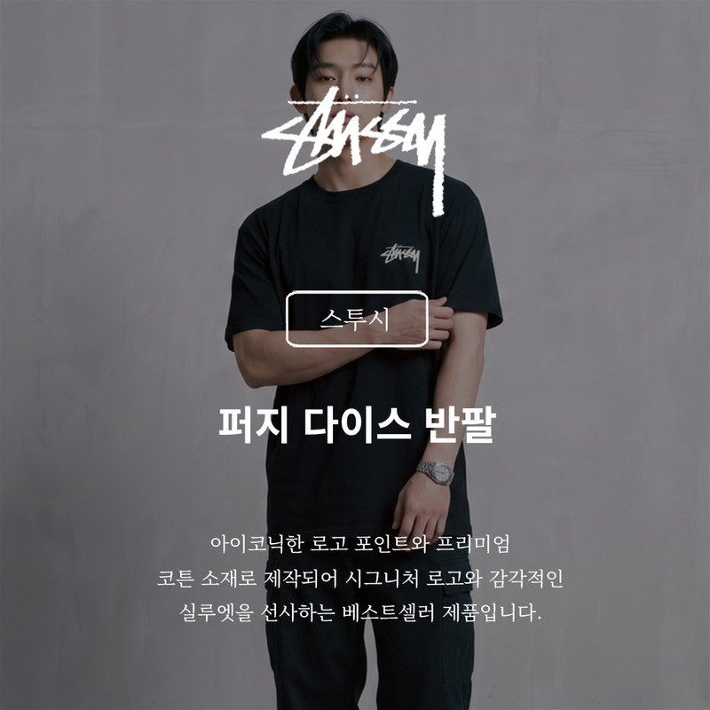 [Stussy] Fuzzy Dice Short Sleeve (Black)