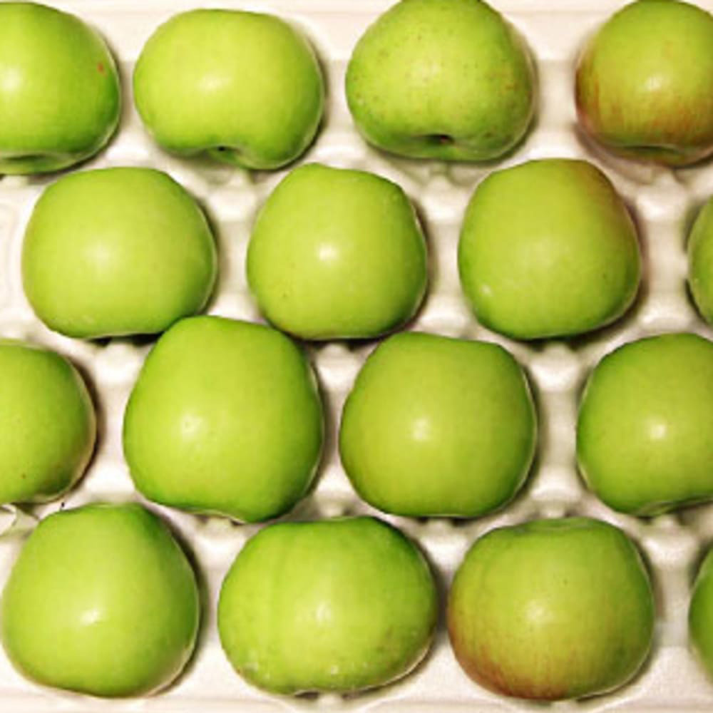 [Dalok Agricultural Products] Green Apple (Aori Summer King) Value Pack 3kg Medium Size (14-18 pieces)