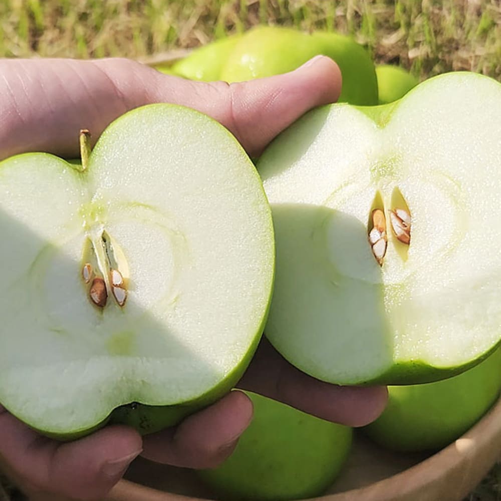 [Dalok Agricultural Products] Green Apple (Aori Summer King) Practical 4kg Medium-Large (13-18 fruits)