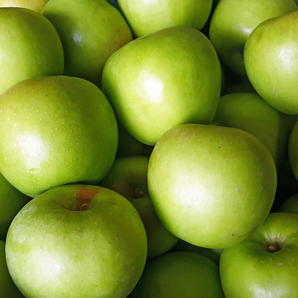 [Dalo Agriculture] Green Apple (Aori Summer King) Value Pack 2kg Medium Size (10-12 Apples)