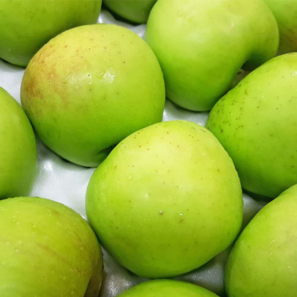 [Dalok Agricultural Products] Green Apple (Aori Summer King) Practical 2.5kg Medium Size (12-15 fruits)