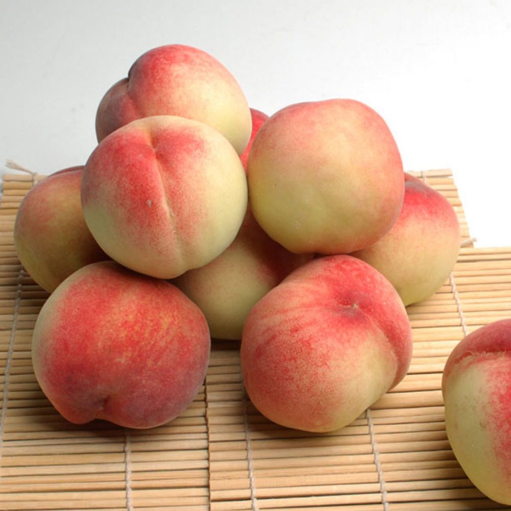 [더기다림_참] 명품 백도 복숭아 4kg(15~18과)_중대과