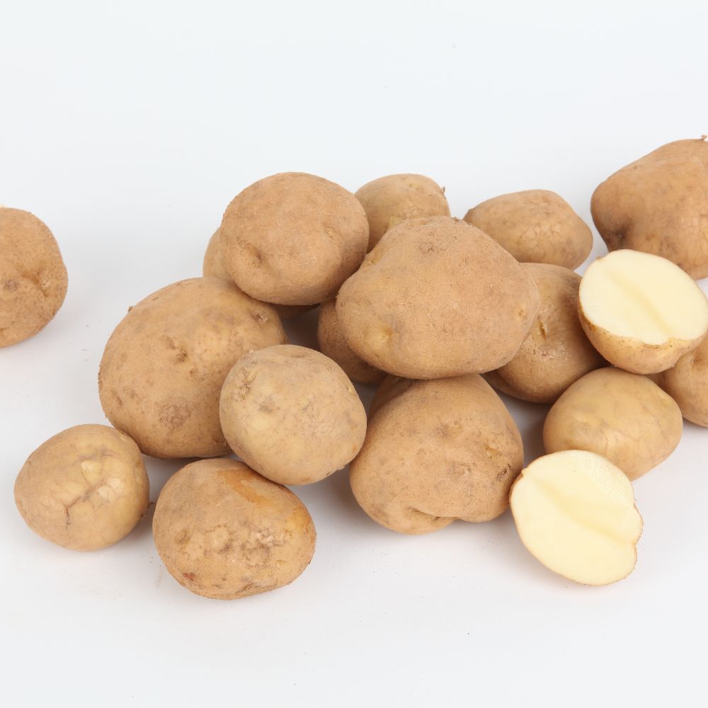 두백감자 (중소) 10KG