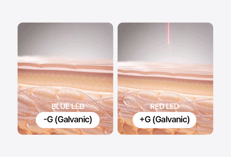 spec-18.gif