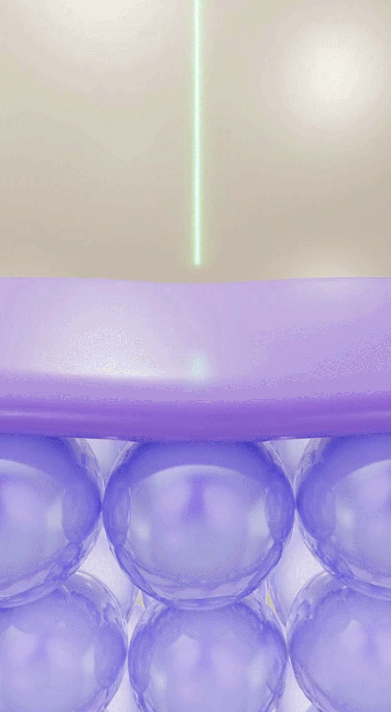 spec-20.gif