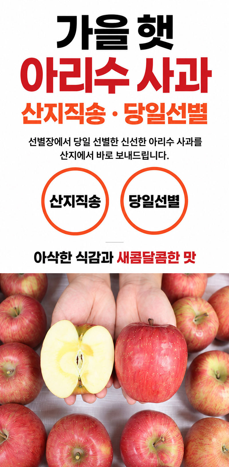Arisuapple_d1.jpg