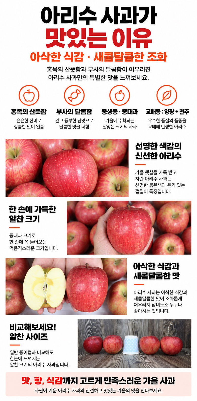 Arisuapple_d3.jpg