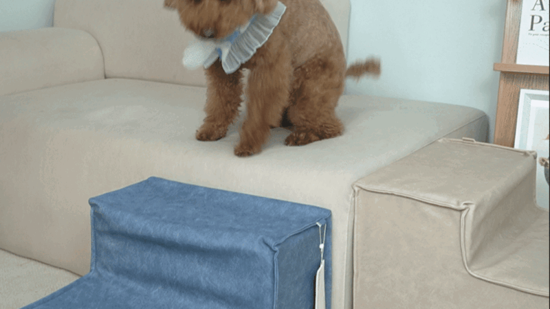 prrk3-d49-2.gif
