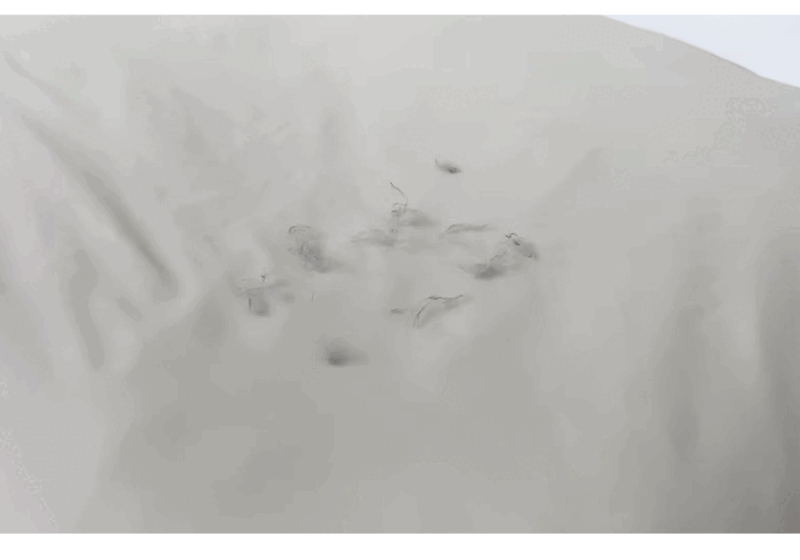 prrk3-d55-2.gif