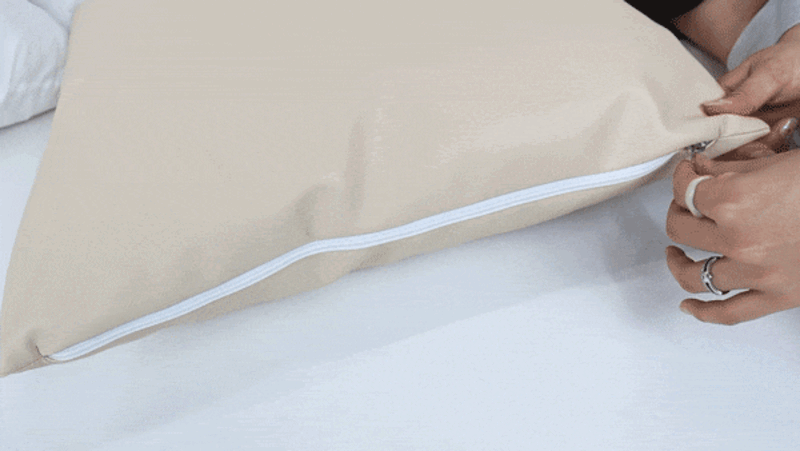 prrk3-d8~d9-16.gif