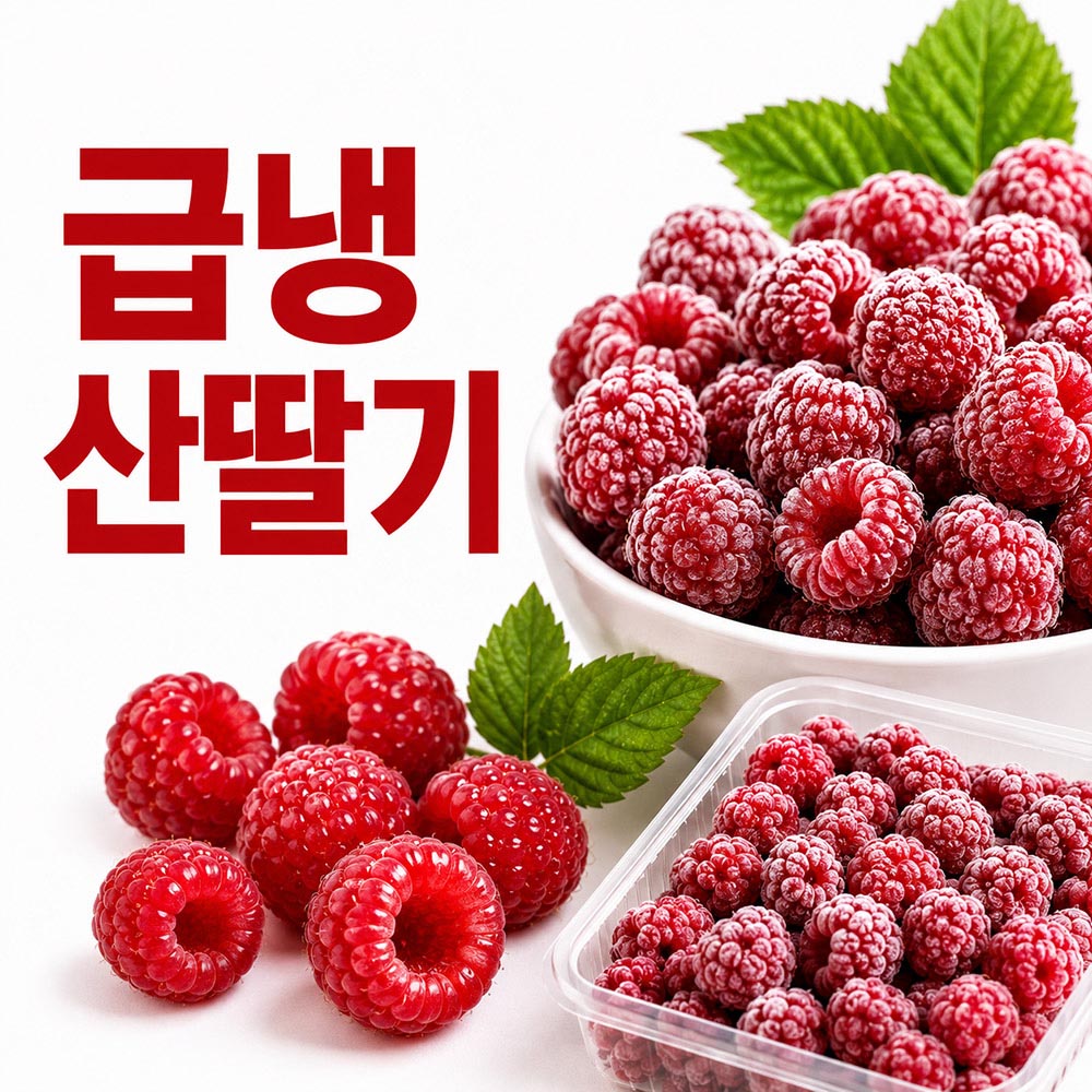 국내산 급냉 산딸기 5kg