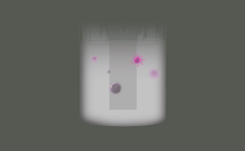 kbm02-d2.gif