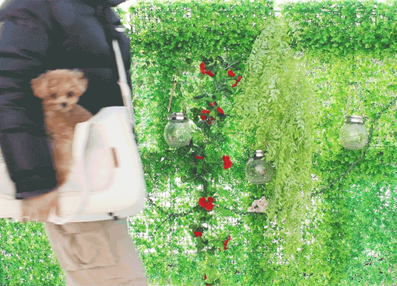 prrk5-d5-6.gif