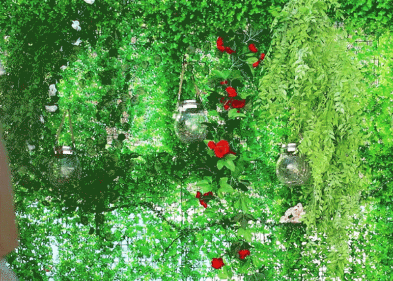 prrk5-d6-6.gif