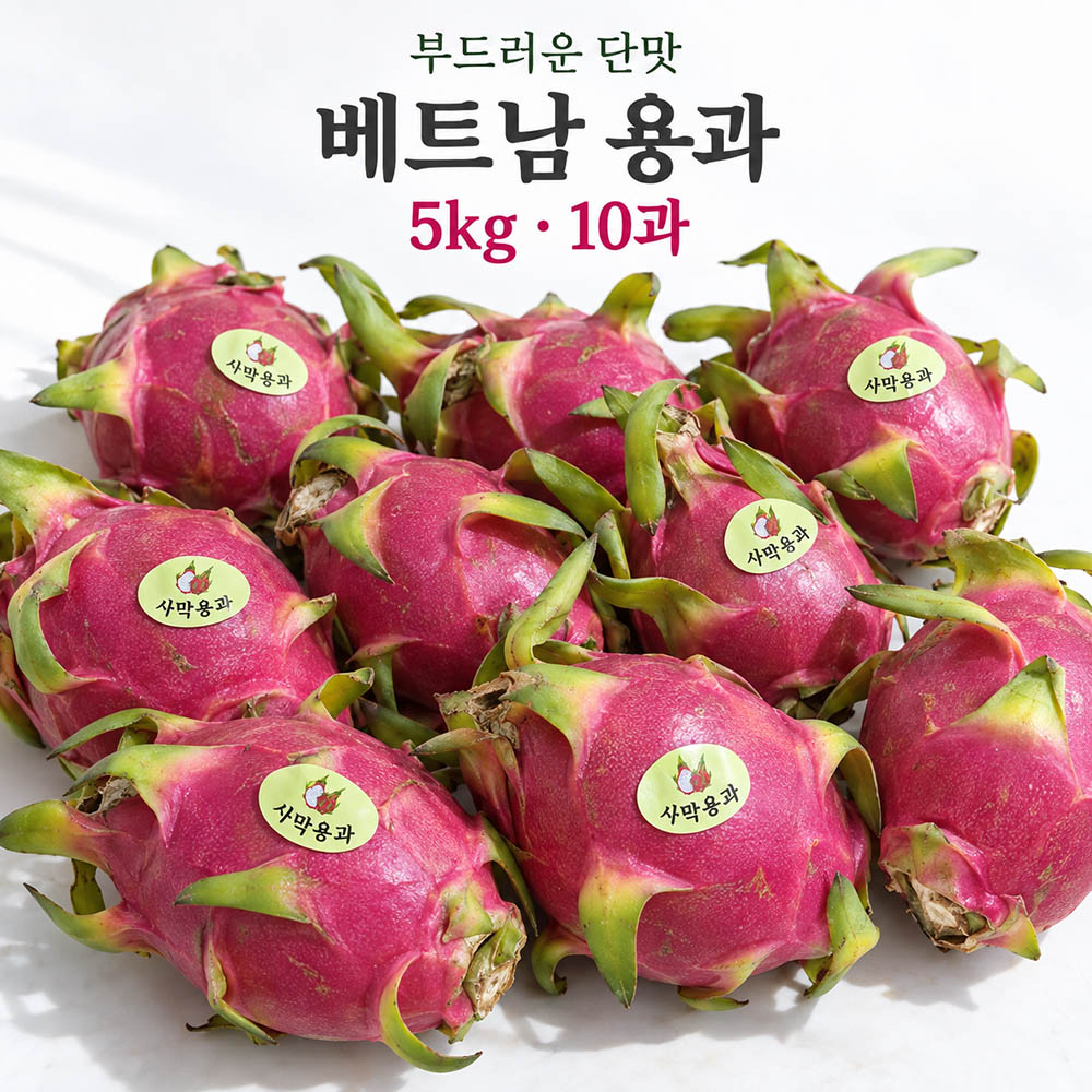 [수입과일] 부드러운 단맛 베트남 용과 5kg 10과