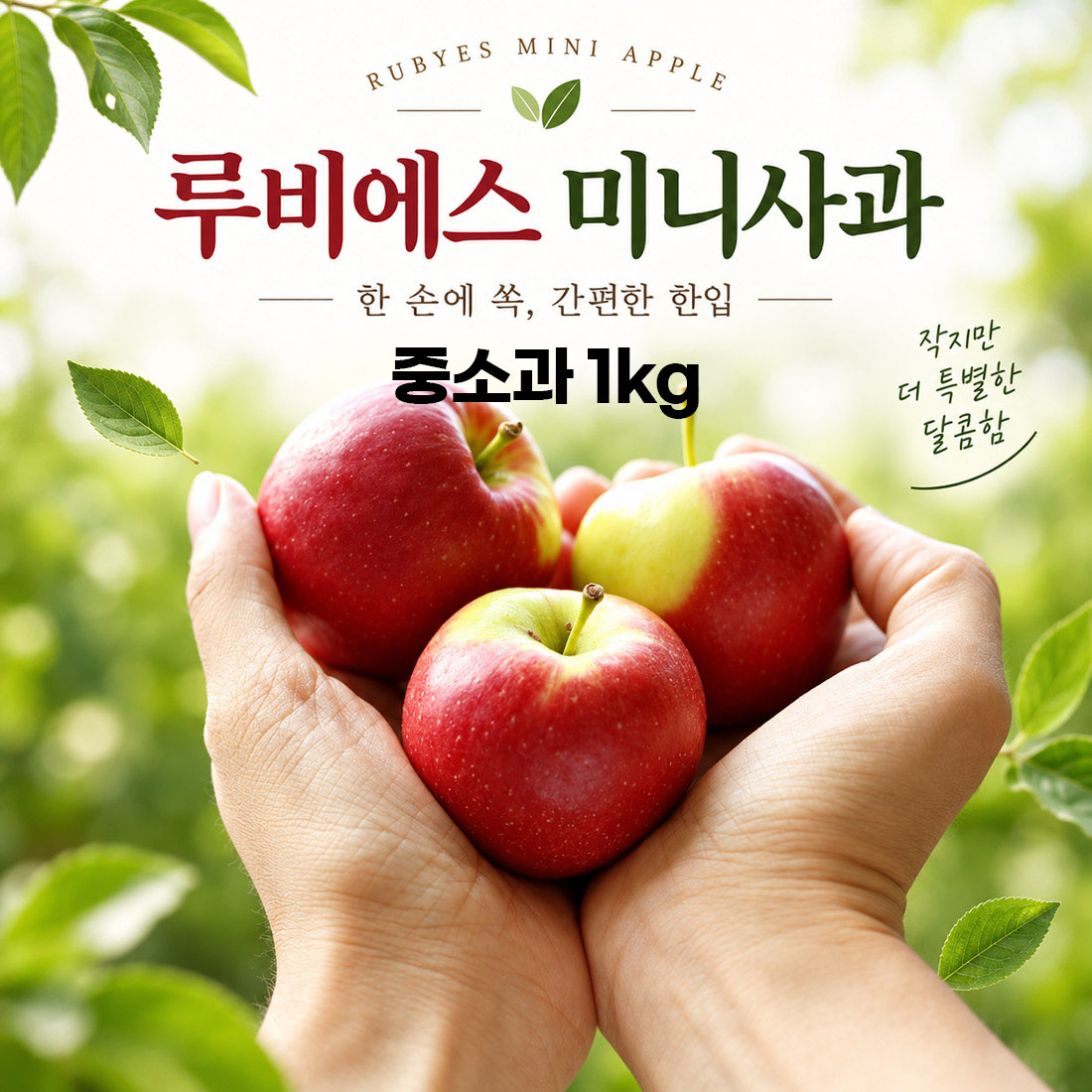 경북 루비에스 미니사과 중소과 1kg (40g-50g 내외)