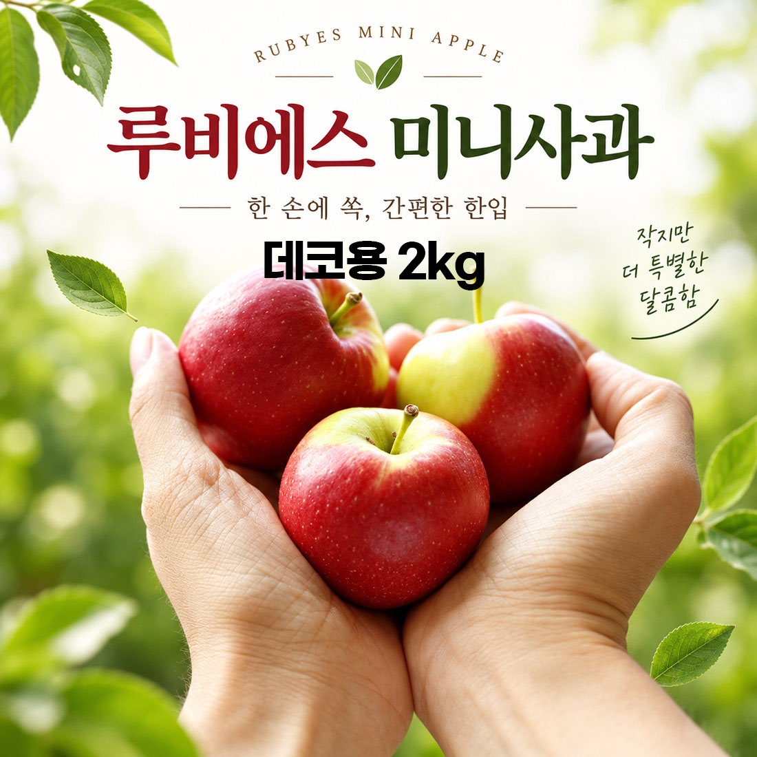경북 루비에스 미니사과 데코용 2kg (58과 내외)