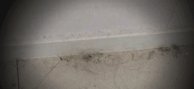 dc01-d39.gif