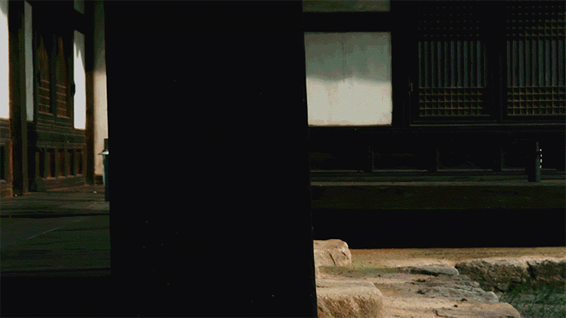 dc02-d11.gif