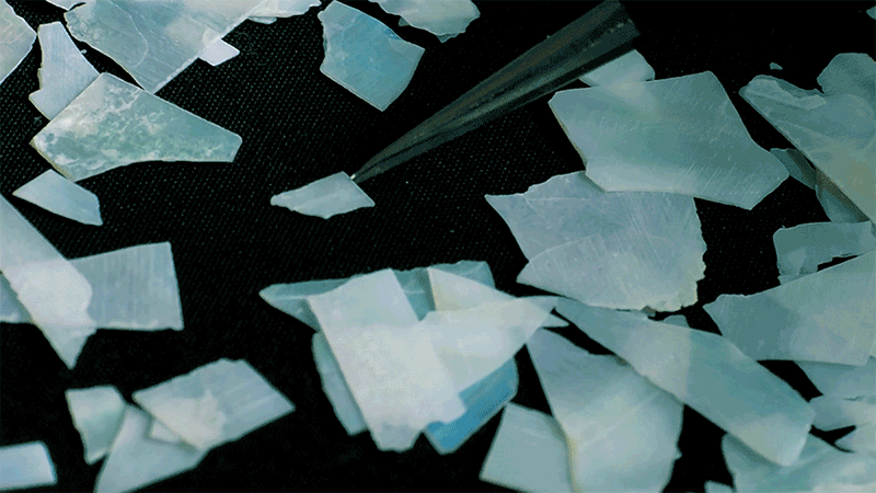 dc02-d51.gif