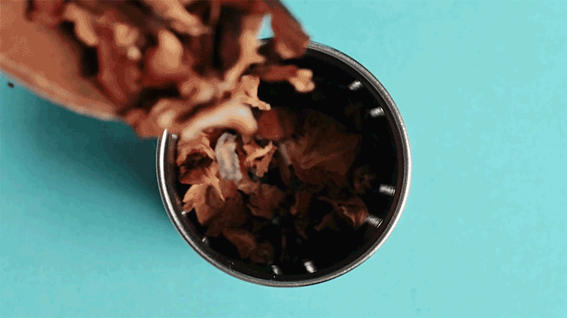 dc02-d53.gif