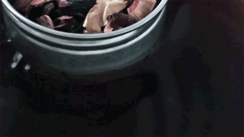 dc02-d55.gif