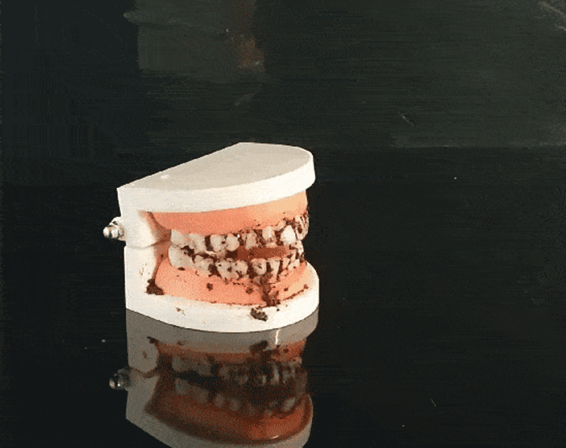 cnk01-2.gif