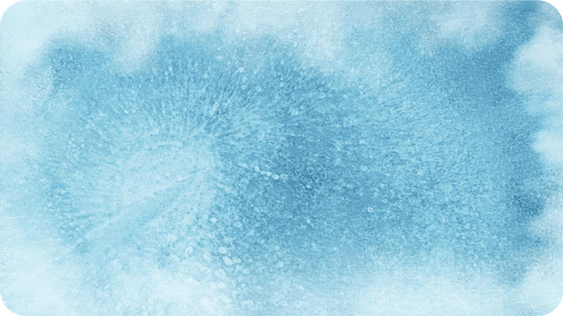 iw20-d45.gif