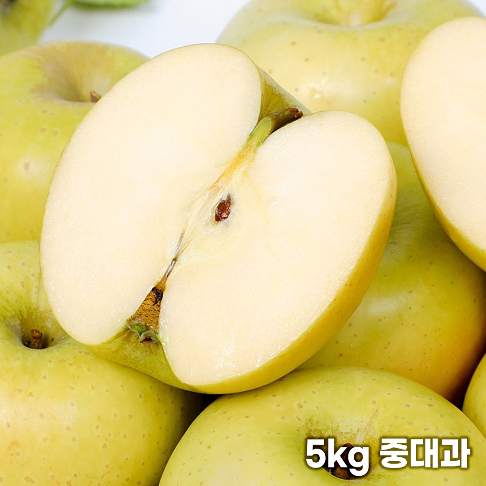 [청년농가] 황금사과 가정용 시나노골드 5kg 중대과(약 14-20과)