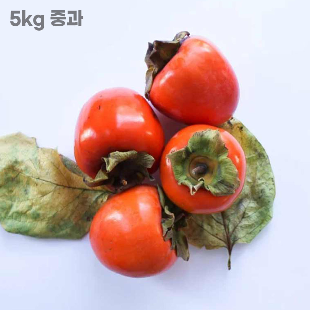 대봉감 5kg(특품 중과 26~30과)