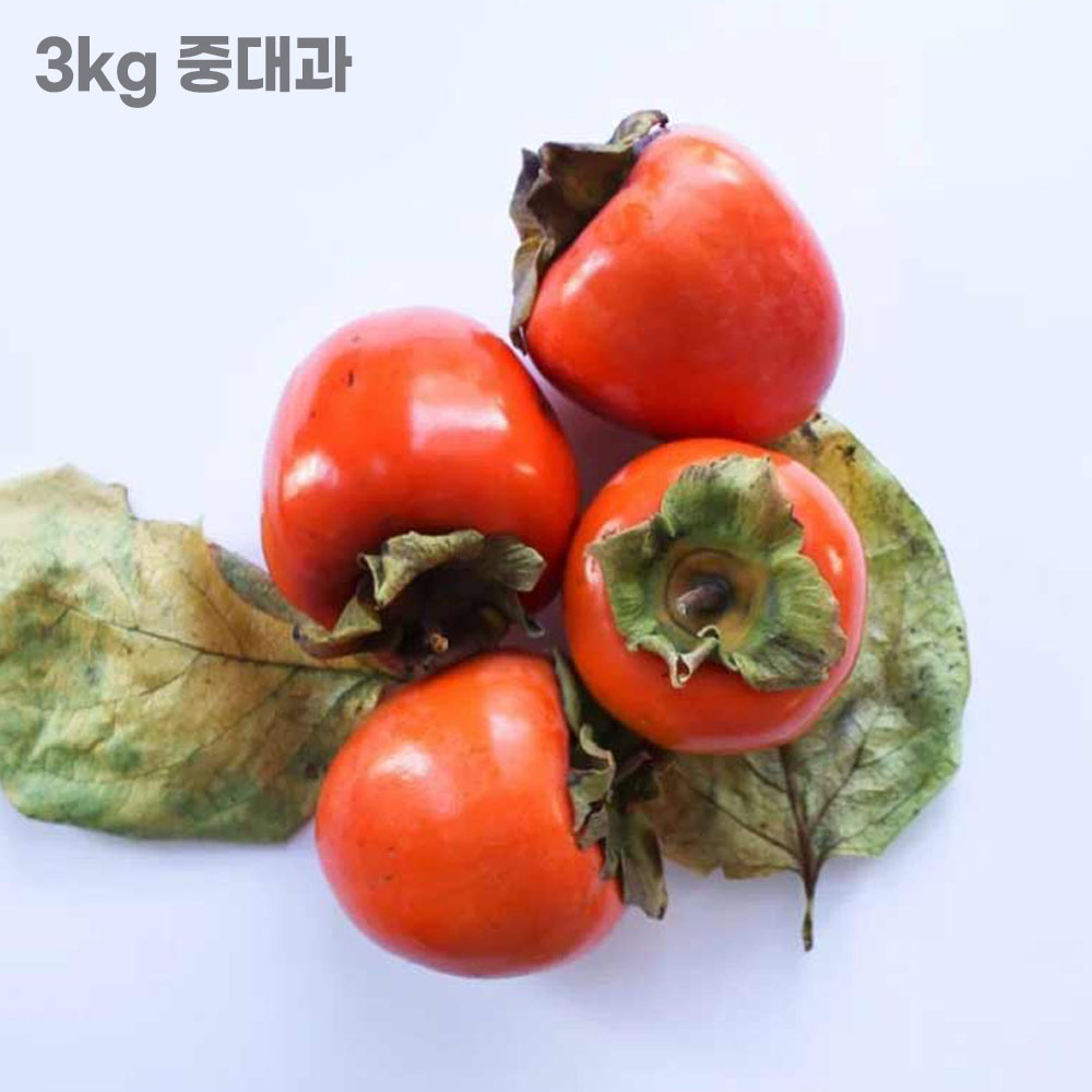 대봉감 3kg(특품 중대과 12~15과)