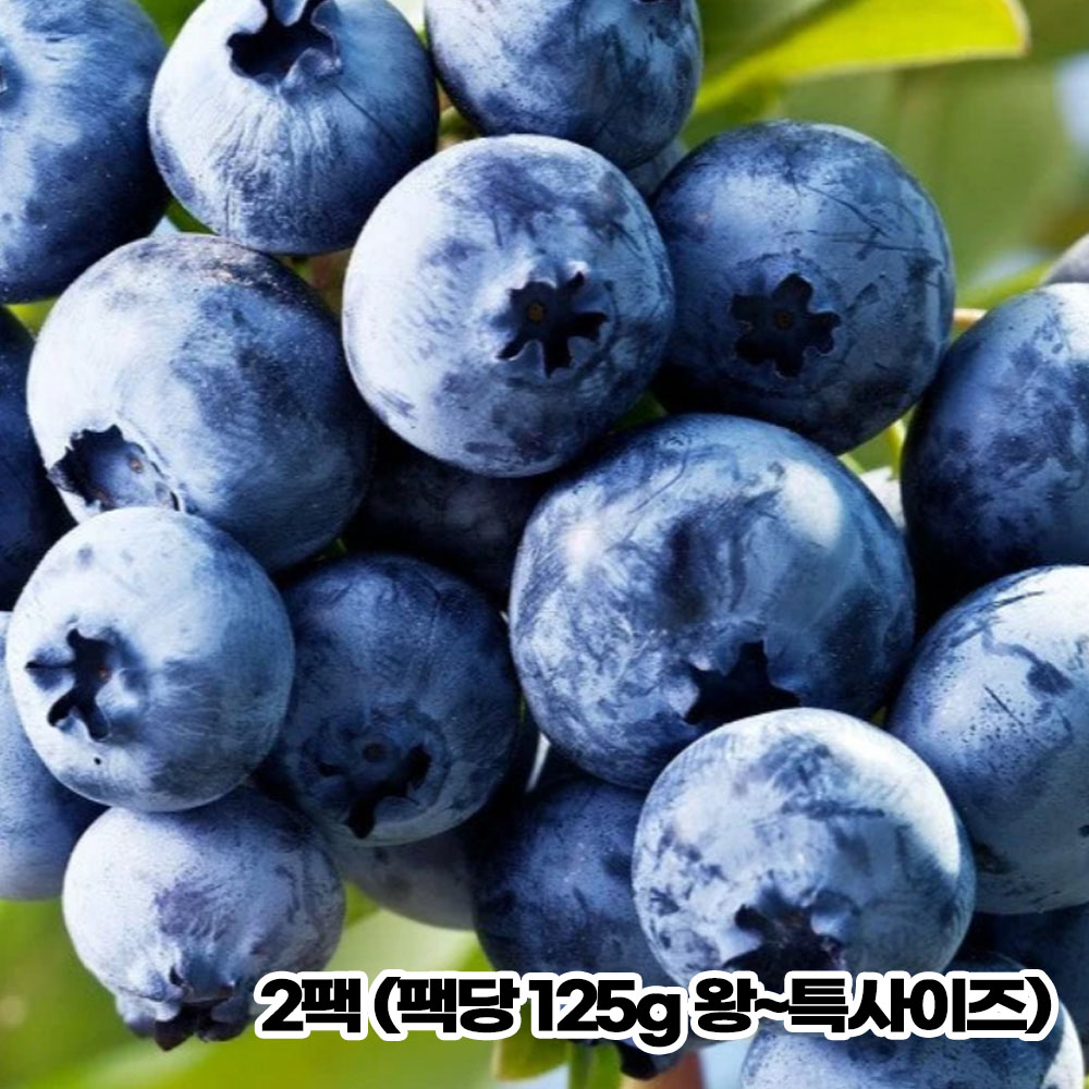 특품 칠레산 블루베리생과 2팩 (팩당 125g 왕~특사이즈)