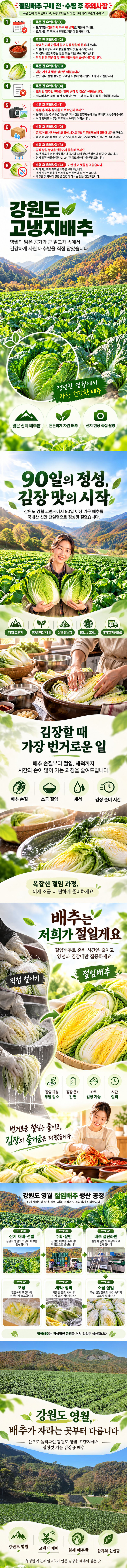 강원도 영월 절임배추 20kg (7~9포기)