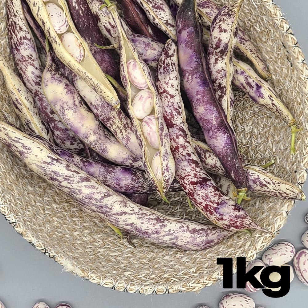 국내산 햇 생호랑이강낭콩 1kg (특품, 껍질포함중량)