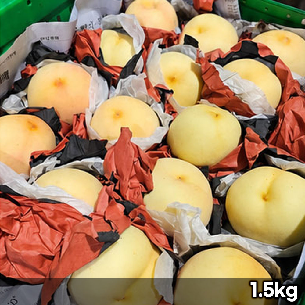 겨울 복숭아 정품 1.5kg (4-6과 내외)