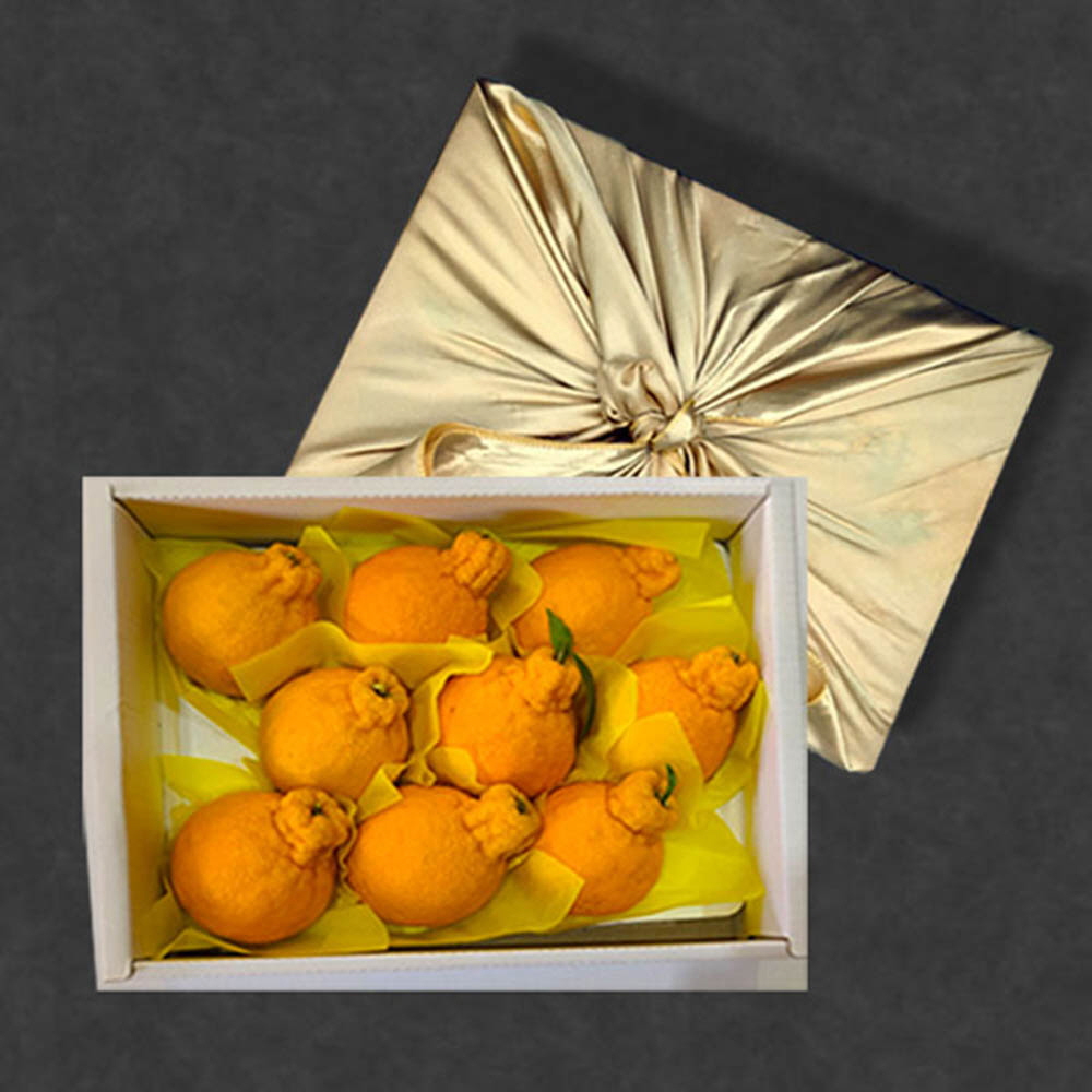 한라봉 3kg(7~9과) /보자기선물포장