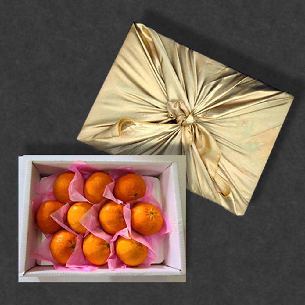 보자기 선물포장 레드향 3kg(10~12과)/전남 나주