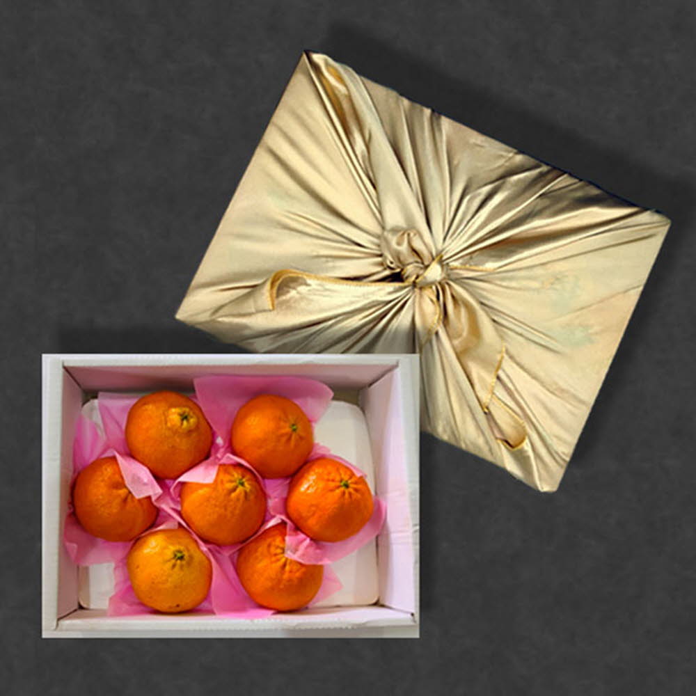 보자기 선물포장 레드향 3kg(7~9과)/전남 나주