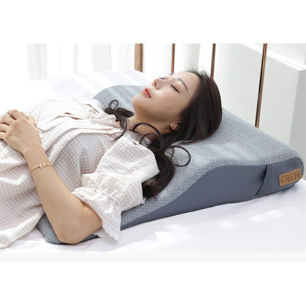 일등공방 고밀도 메모리폼 토퍼베개