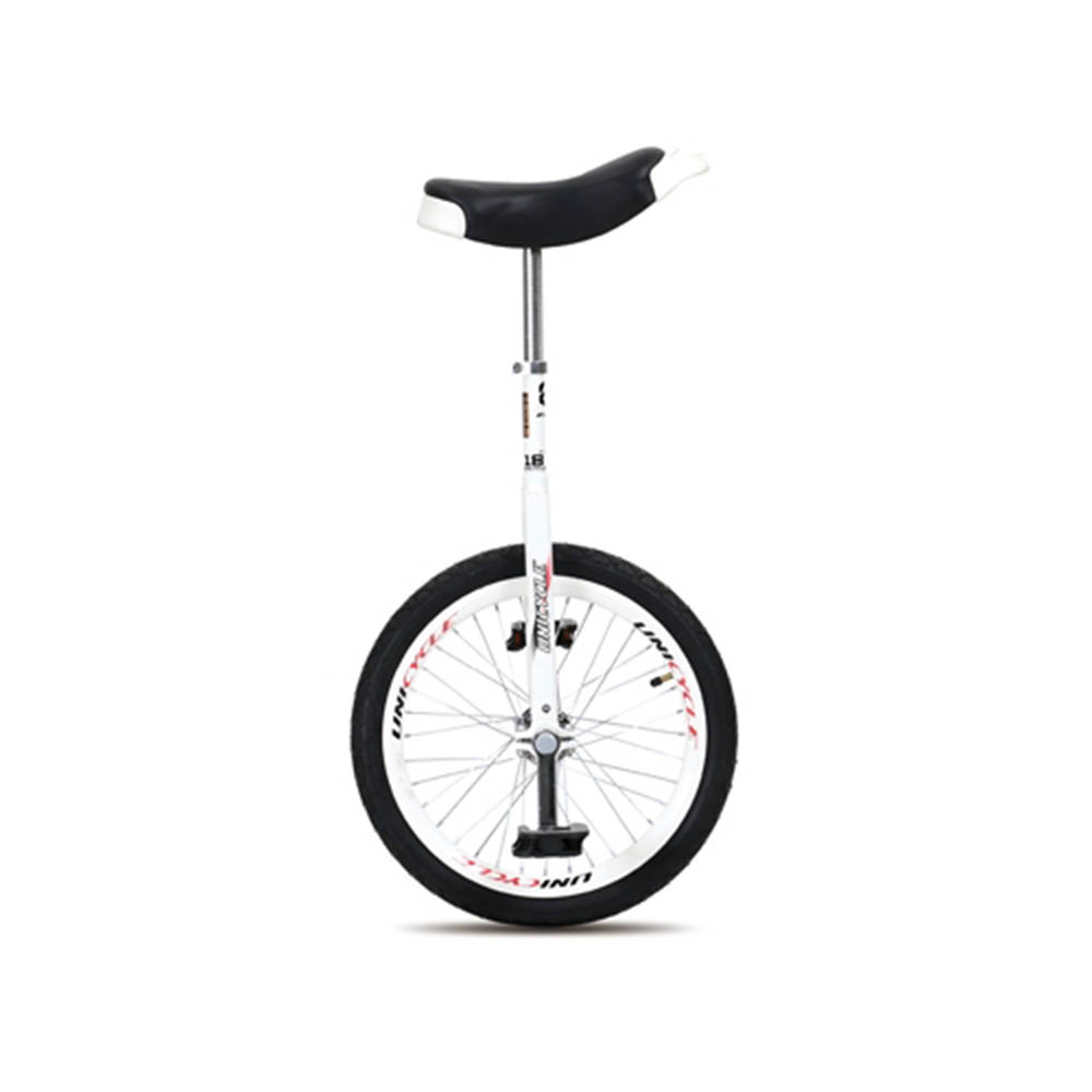 2021 지오닉스 ZyDEN 유니사이클 1단 20인치