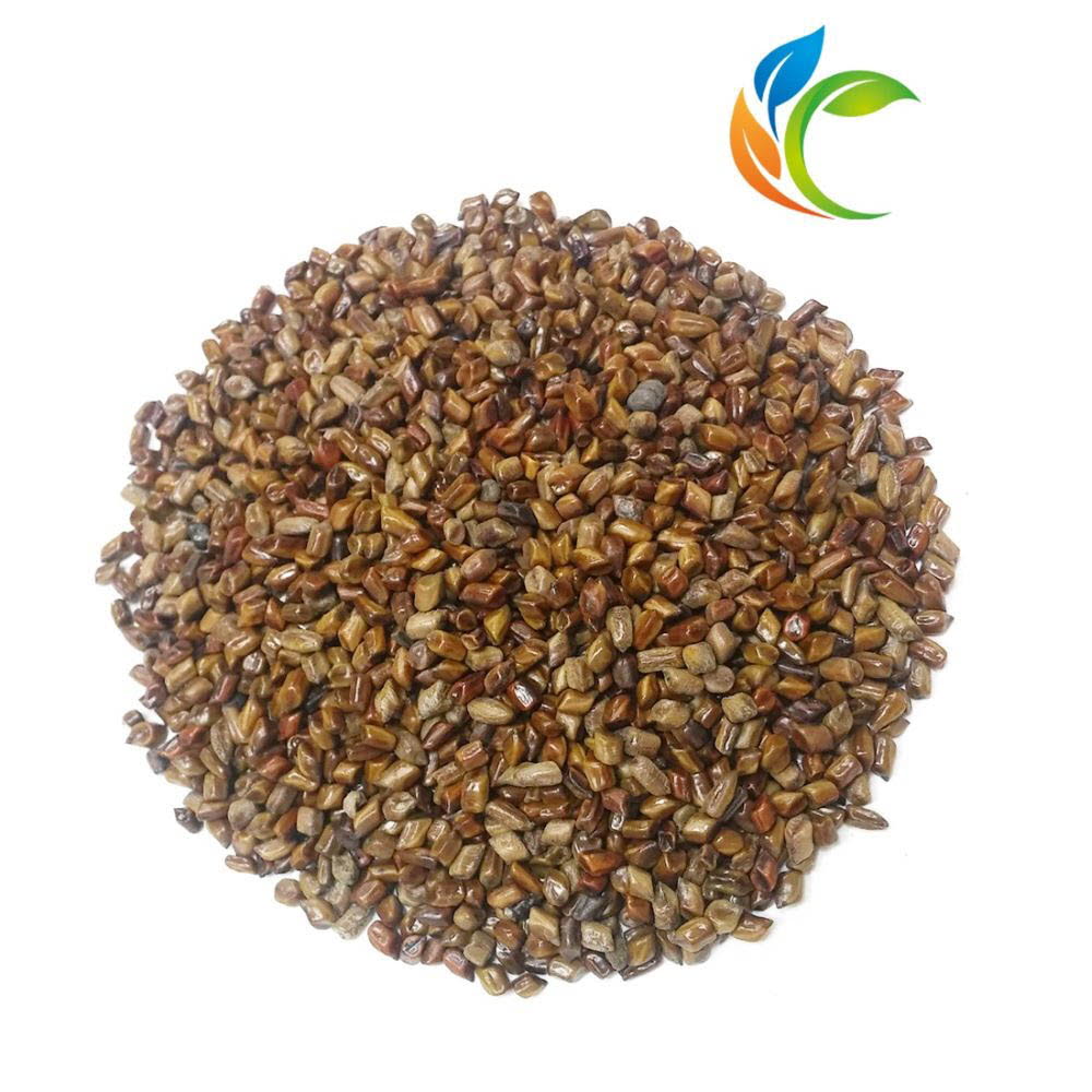 볶은결명자 600g