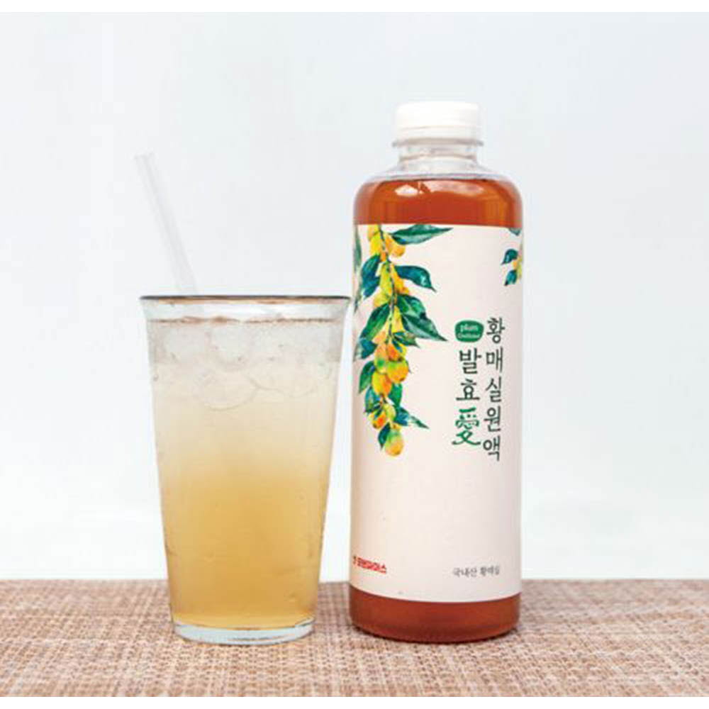 발효애 지리산 3년숙성 황매실청 황매실원액 900ml