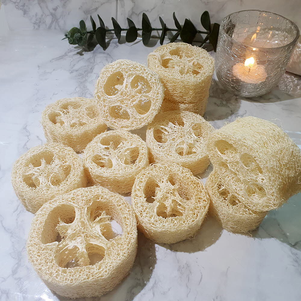 친환경 천연수세미 (비누받침대 겸용) 10P