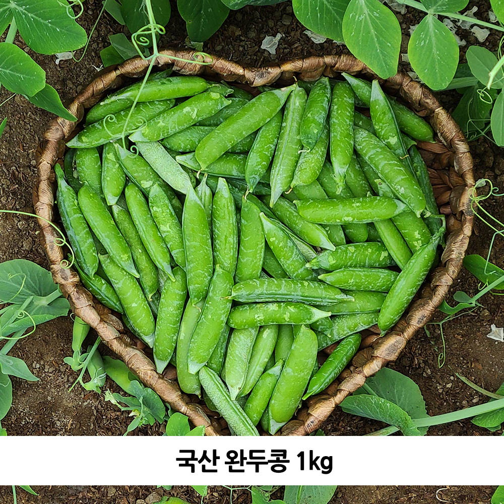 국산 완두콩 1kg