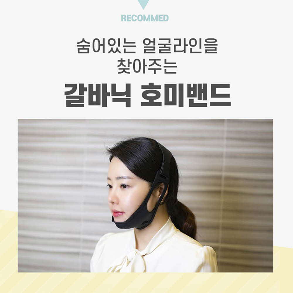 반디비타 갈바닉 호미밴드