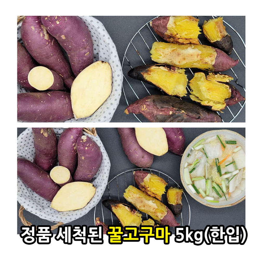 [비세척] 21년산 햇 꿀고구마 5kg(한입)